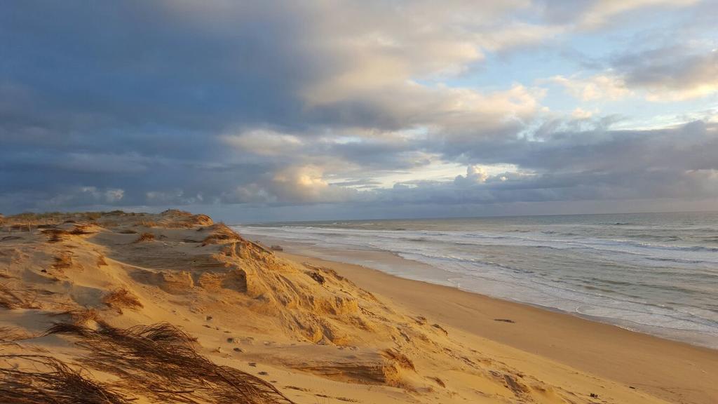 Le Lodge Du Cap Ferret Lège-Cap-Ferret Kültér fotó