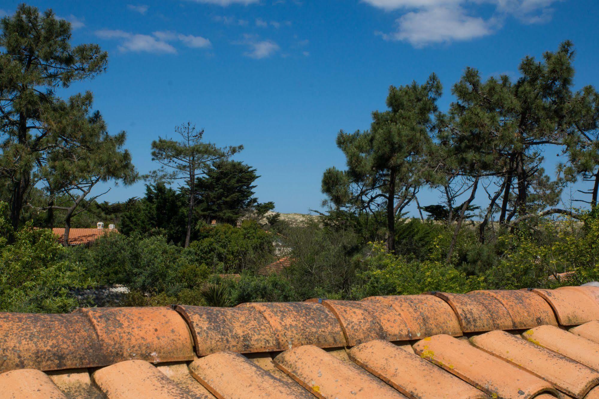 Le Lodge Du Cap Ferret Lège-Cap-Ferret Kültér fotó